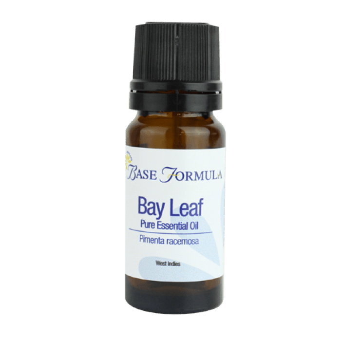 100 Pure Bay Leaf Pimenta Racemosa Essential Oil   Bay Leaf 700x700 